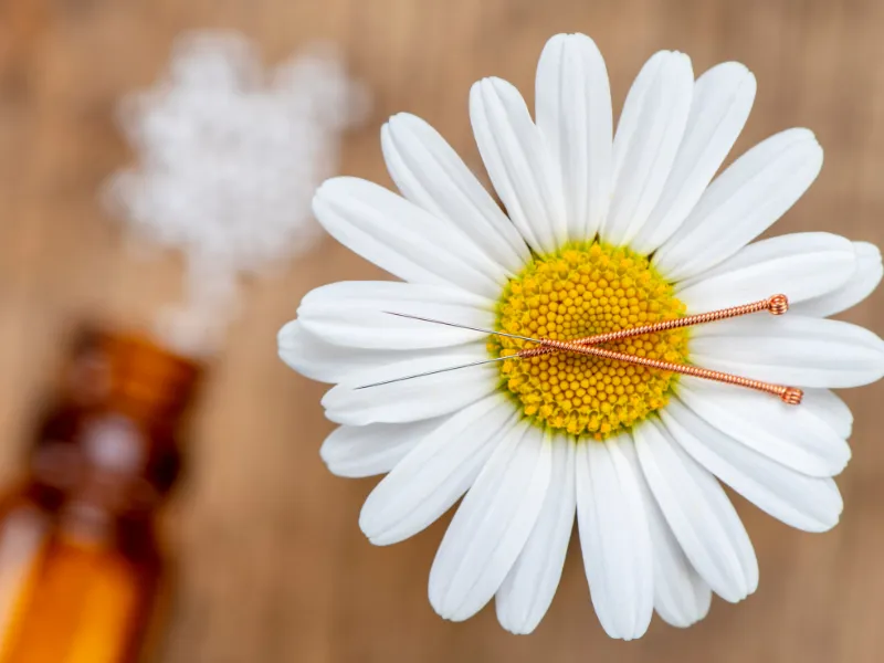 Akupunkturnadeln auf einer Blüte